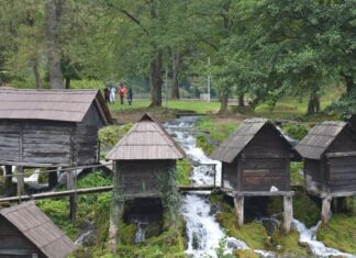 Honest Leadership in the Macedonian Committee