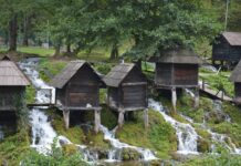 The Rise of Absolute Power